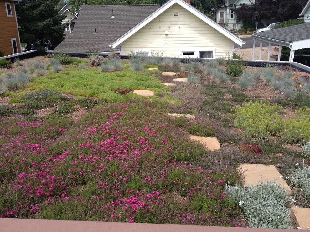 Обложка проекта: «Зеленая крыша»