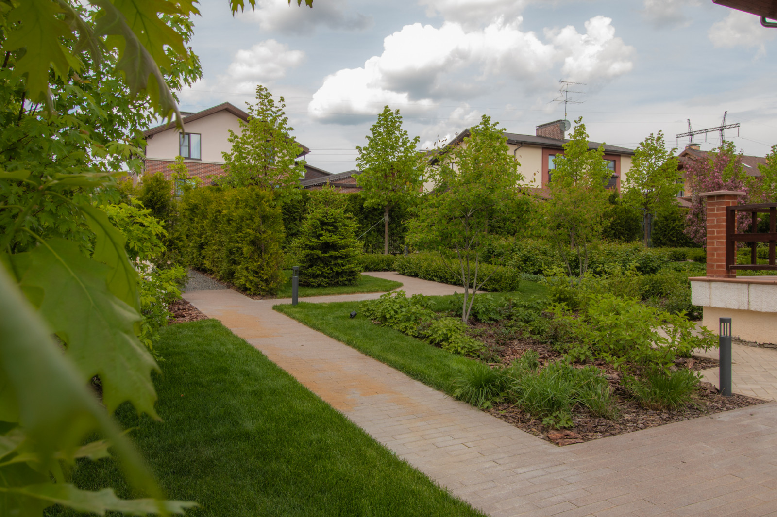 Опушкино_2019