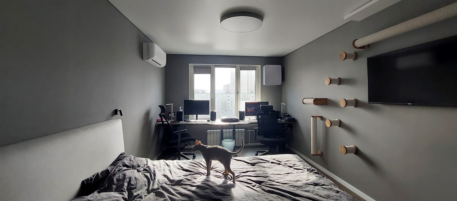 Однокомнатная квартира в Марьино: фото, визуализации, чертежи