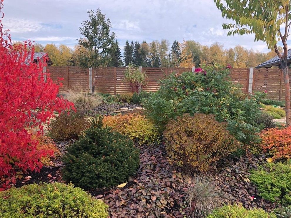 ЯГОДНОЕ ЛУКОШКО. ОСЕНЬ 2018