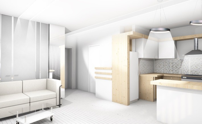 Концепт однокомнатной квартиры