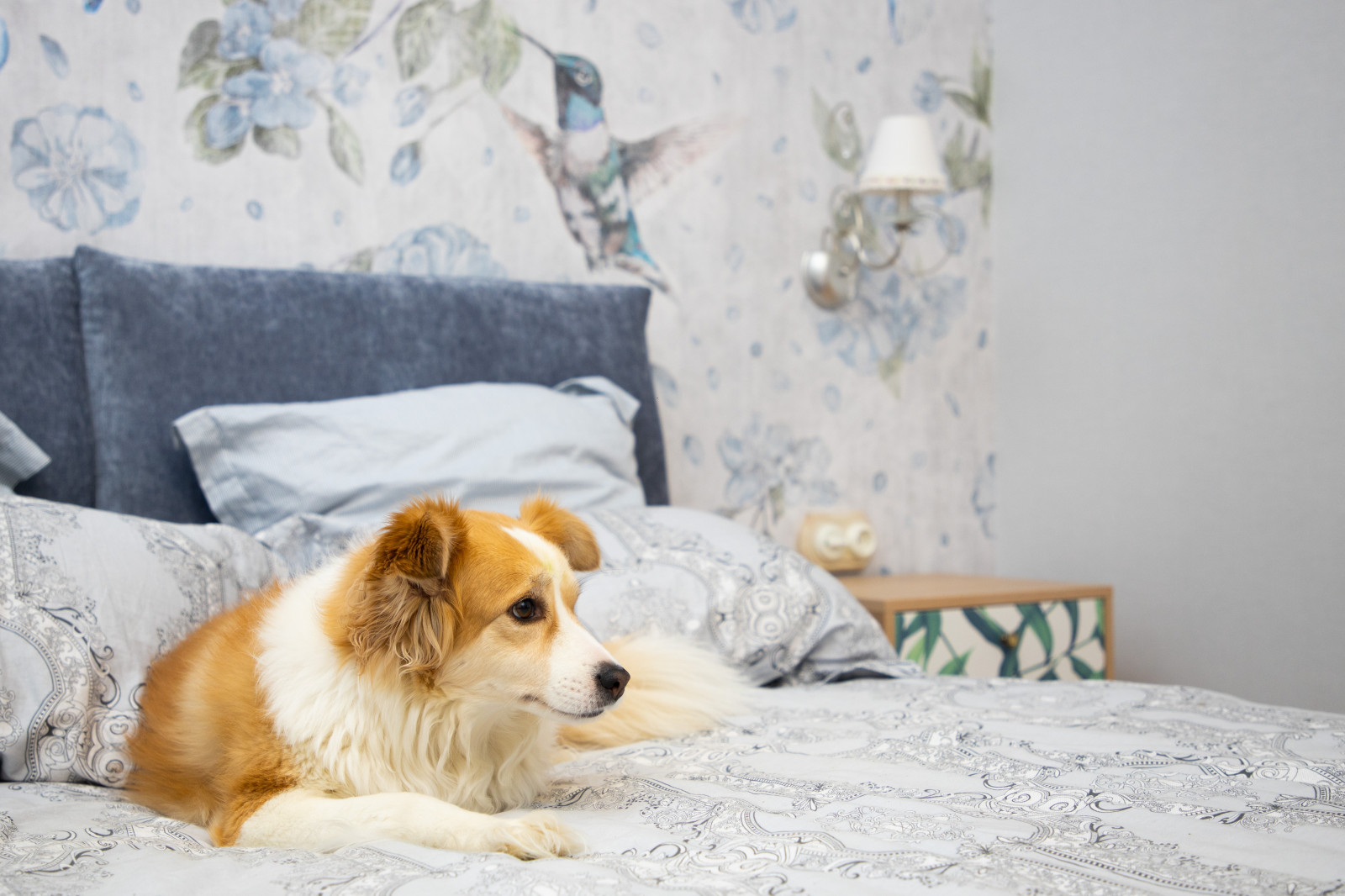 Загородный дом (внутренний монтаж ретро электрики)