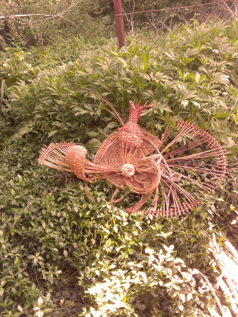 Обложка проекта: Проект 4 "Фитофантазия"