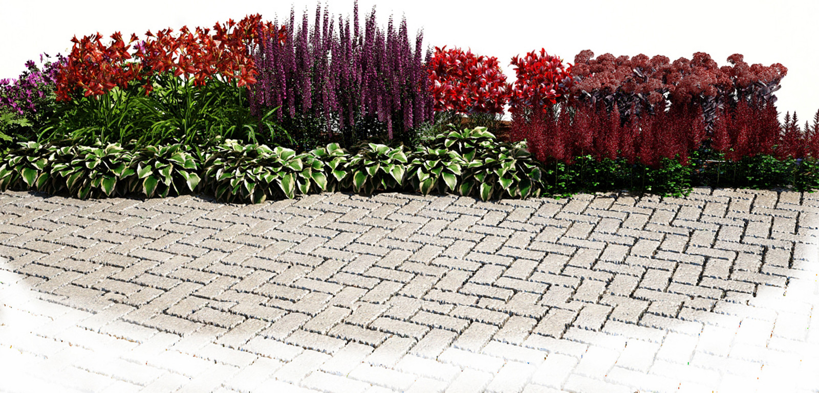 Цветник в пурпурных тонах