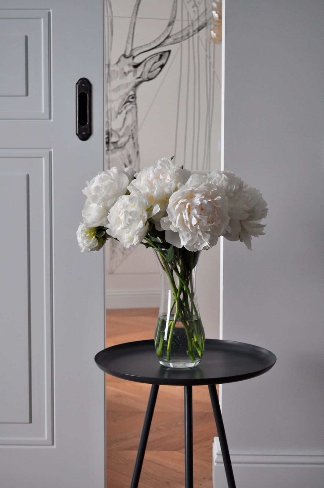 квартира на Чапаева