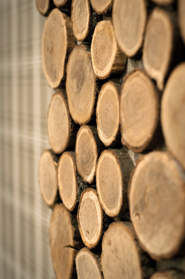 Декорирование стен спилами дерева