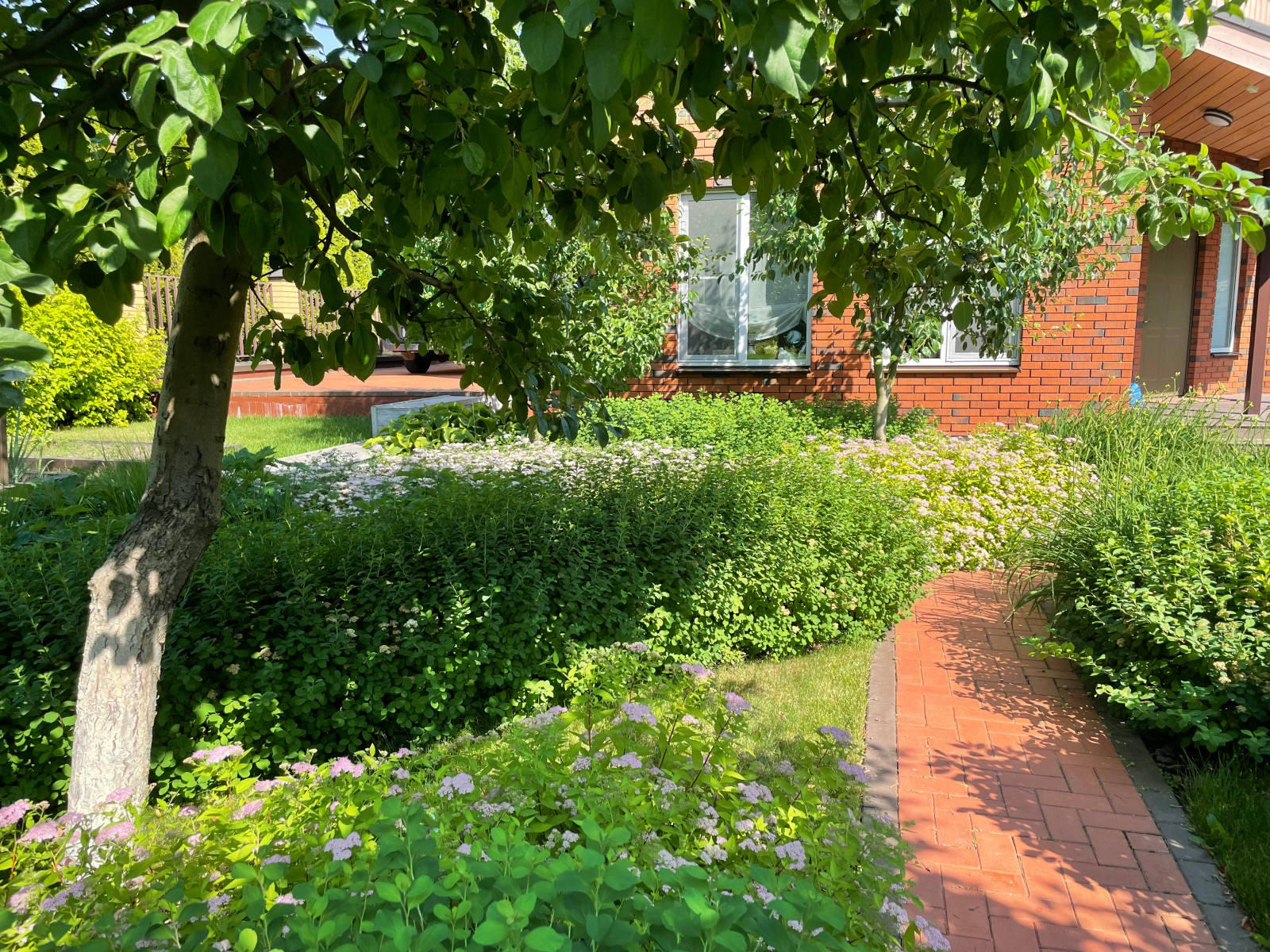 Обложка проекта: Яблоневый сад. Бурцево, Московская обл.