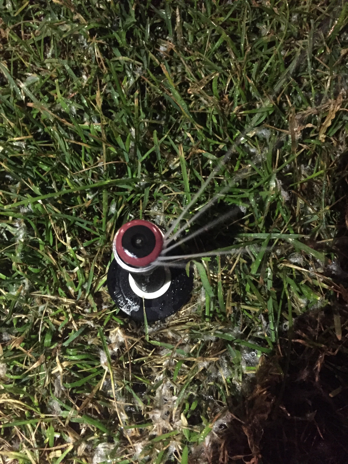 Наши работы