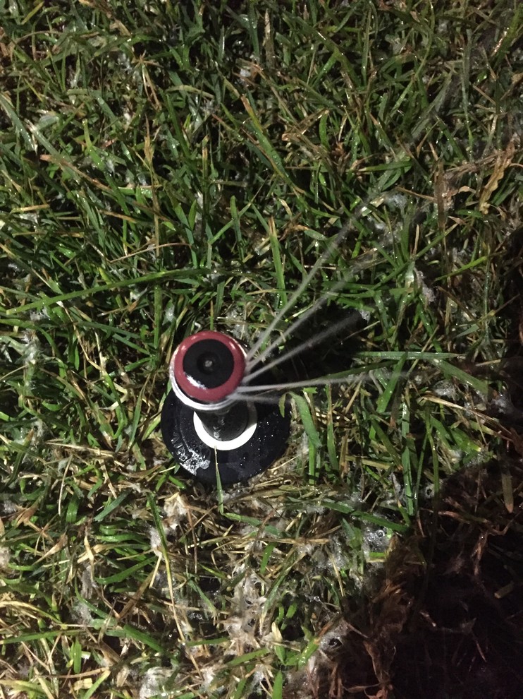 Наши работы