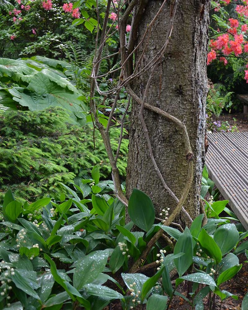 Сад с японским характером в КП Ландшафт