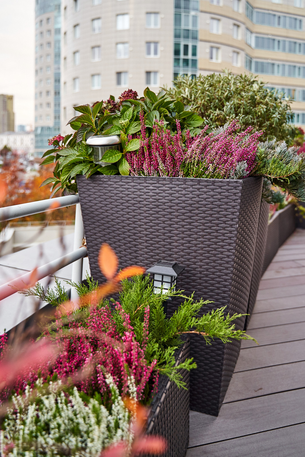 Озеленение террас