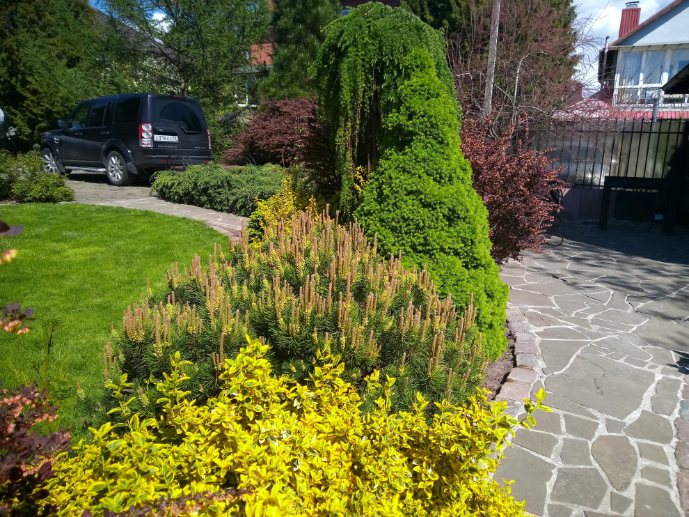 Уход за растениями г. Калининград