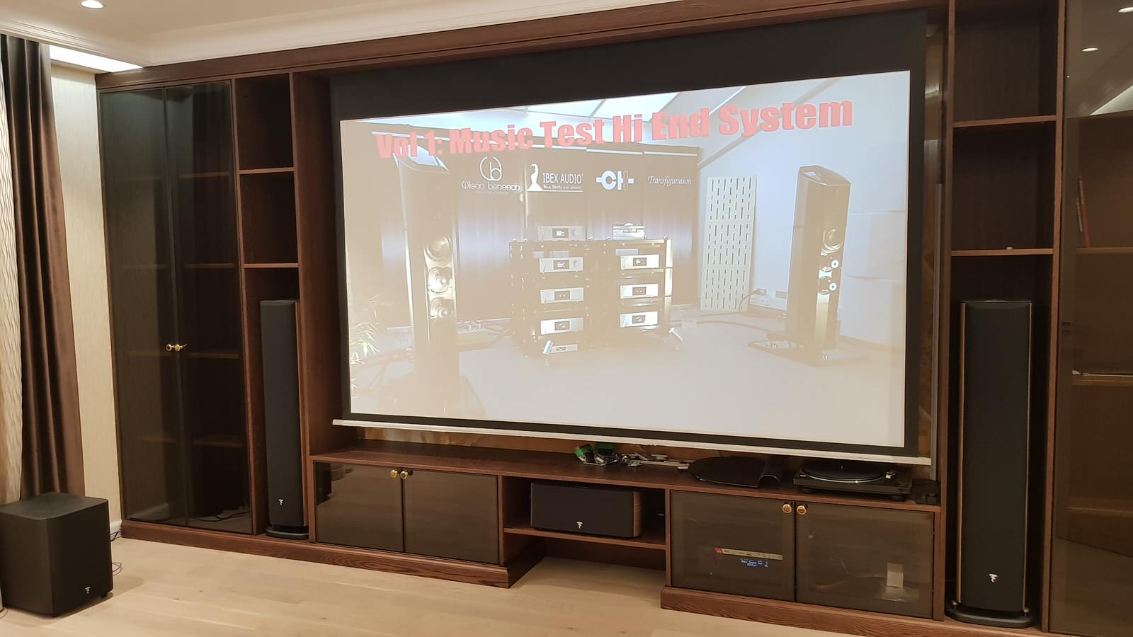 Домашний кинотеатр (Экран + Проектор,ТВ)