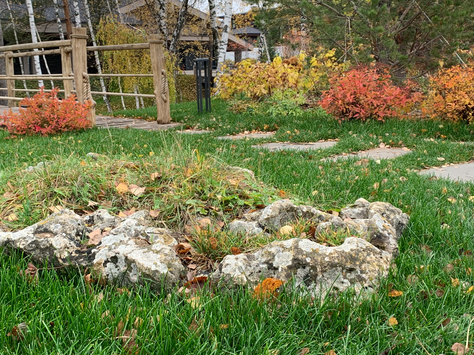 Проект сада с водоемом