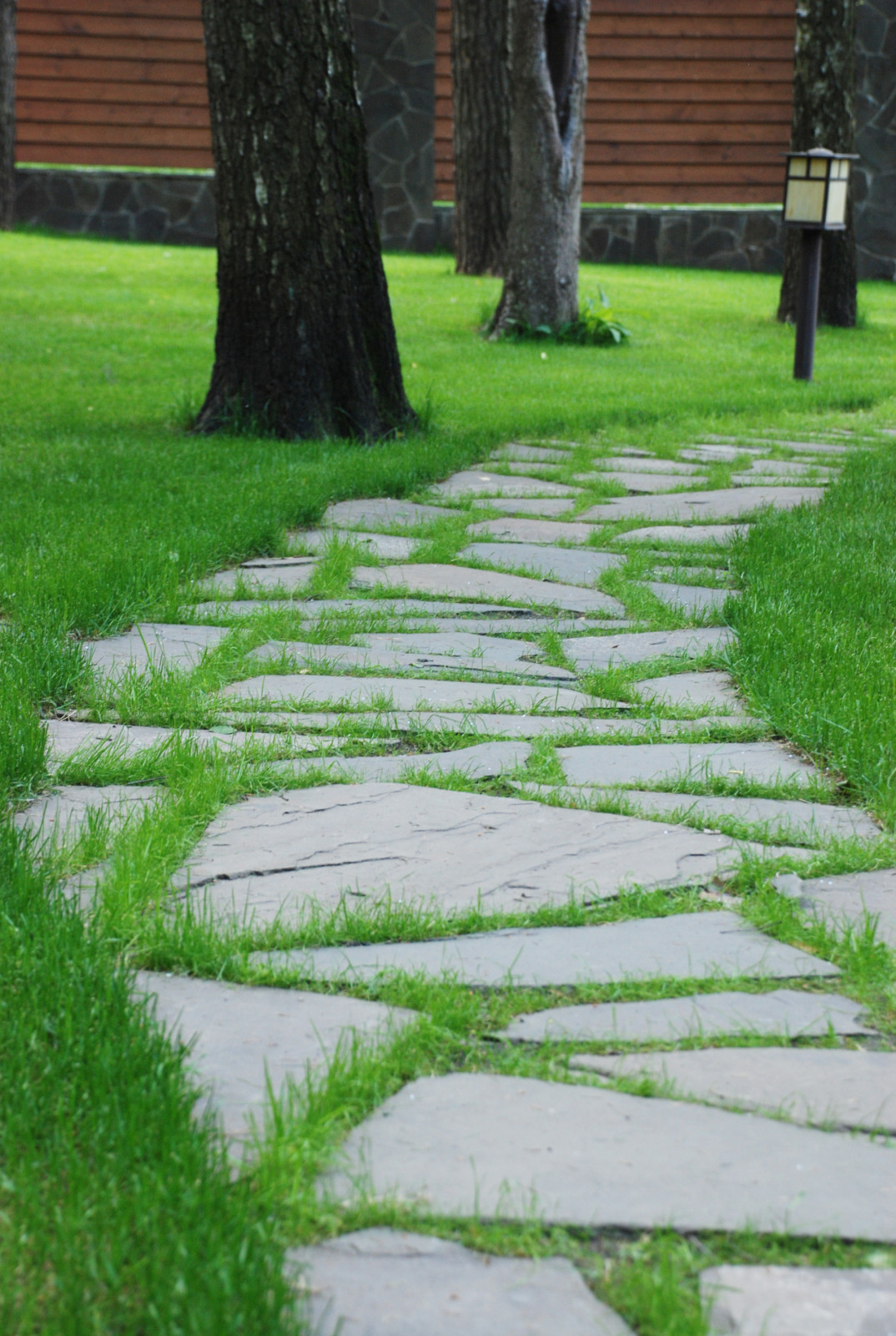 Успенское шоссе РИИТА