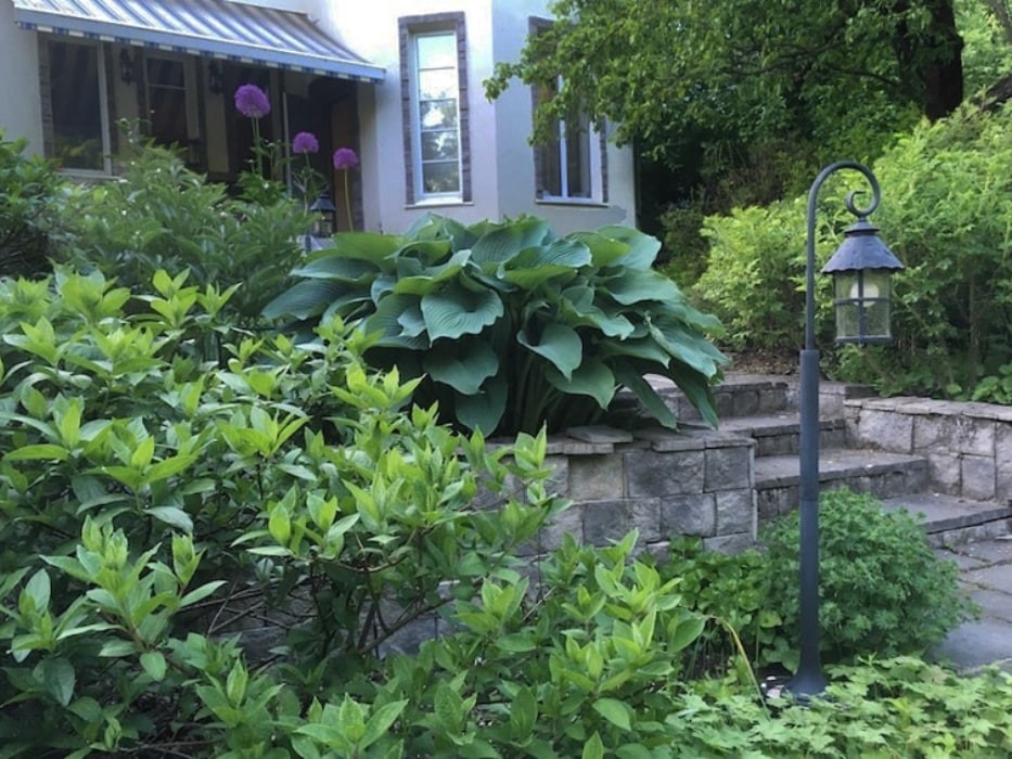 Обложка проекта: Минское шоссе. 22 сотки. Реконструкция сада.