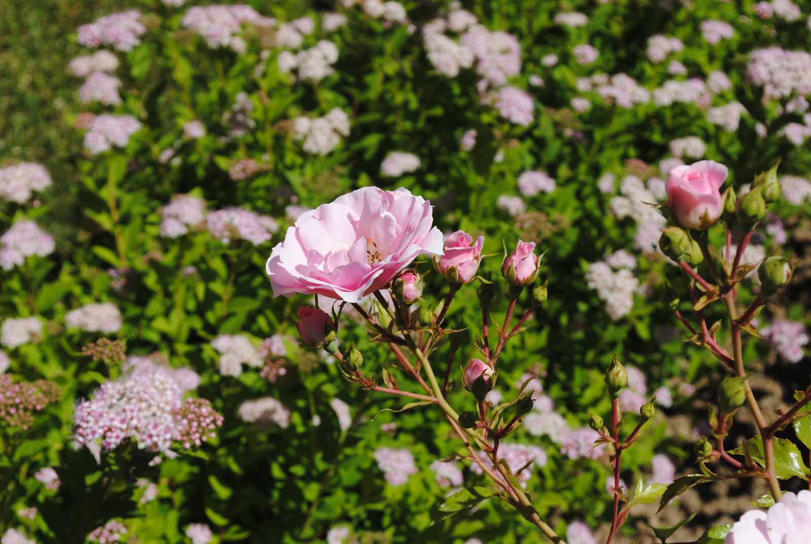 КП Зеленый мыс