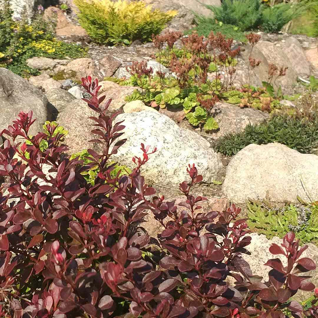 Реализация