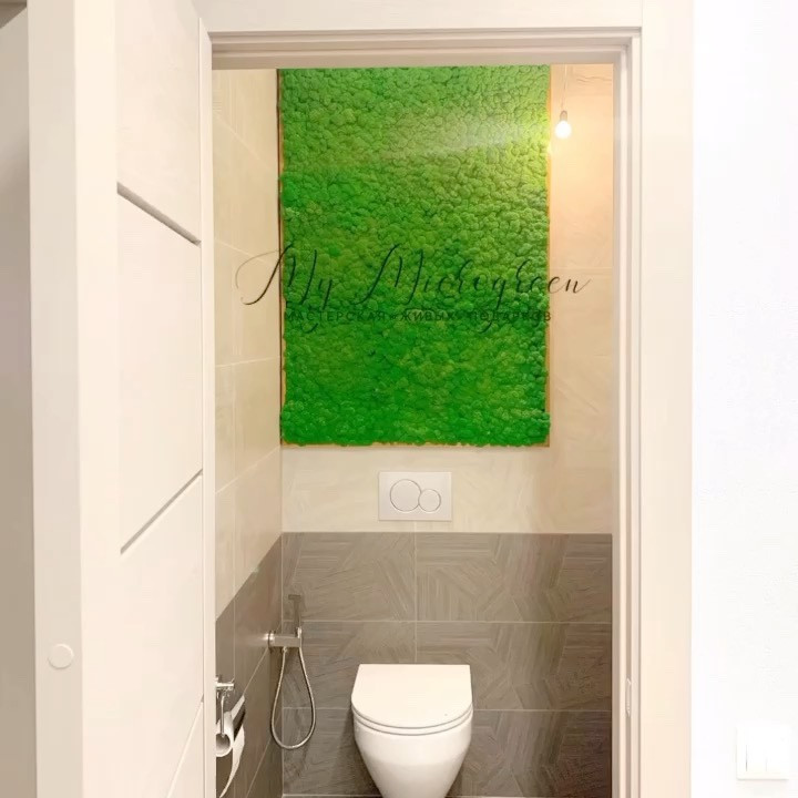 Обложка проекта: Озеленение мхом