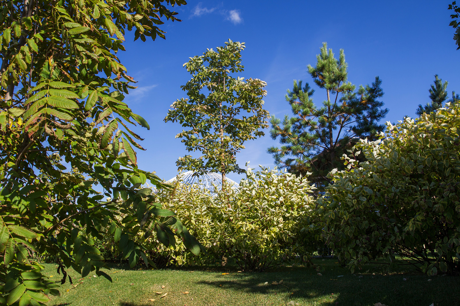 Сад на Пятницком шоссе.  Дизайнер Лариса Юрова