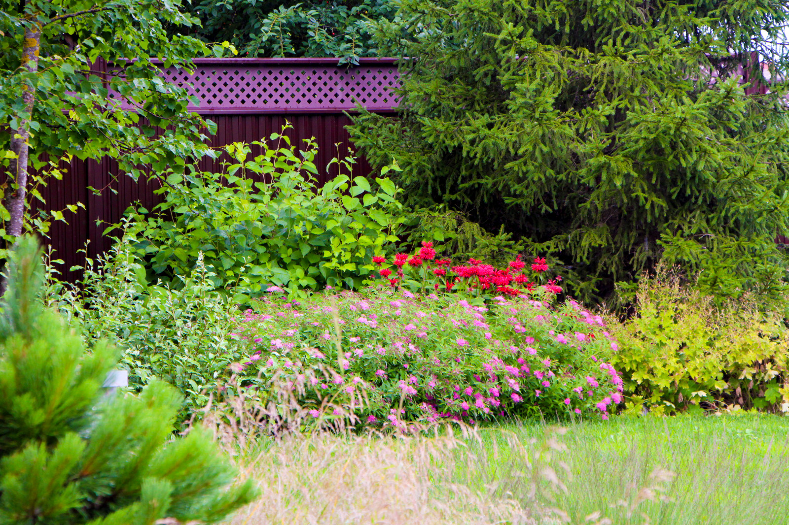 Петровское, 2018-2020 гг.