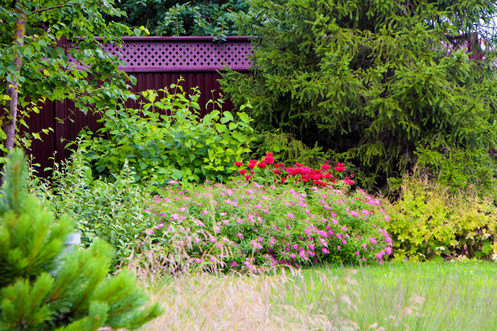 Петровское, 2018-2020 гг.