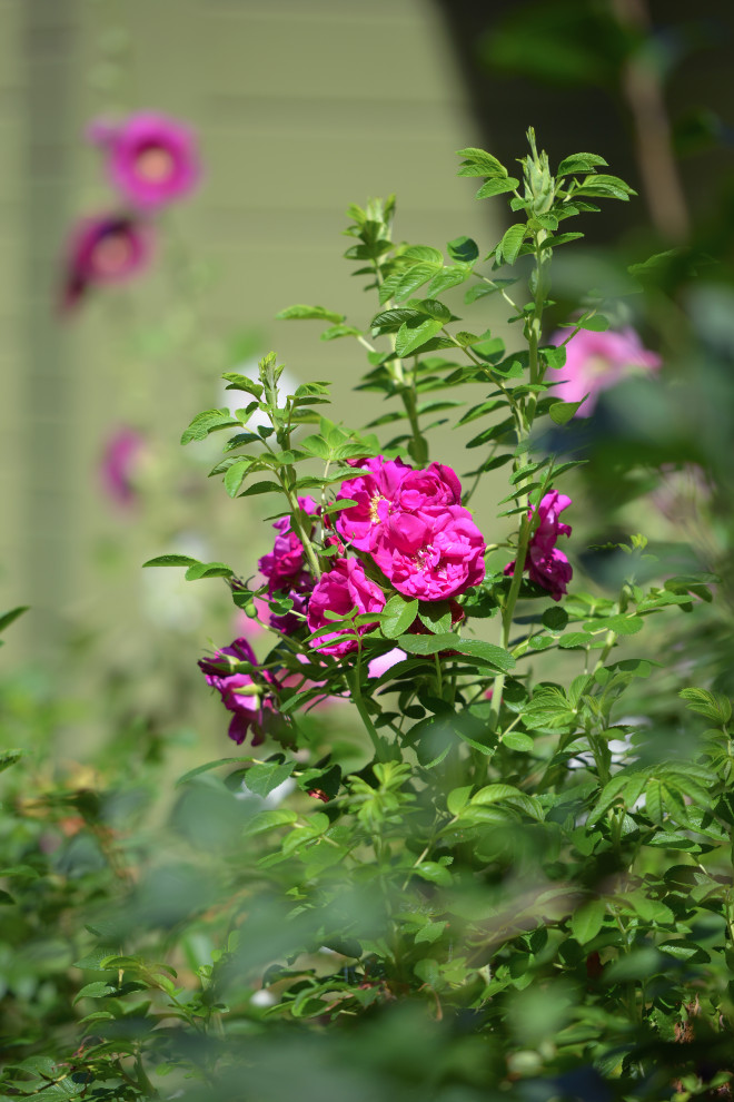 Проект "Волны".Пять лет спустя