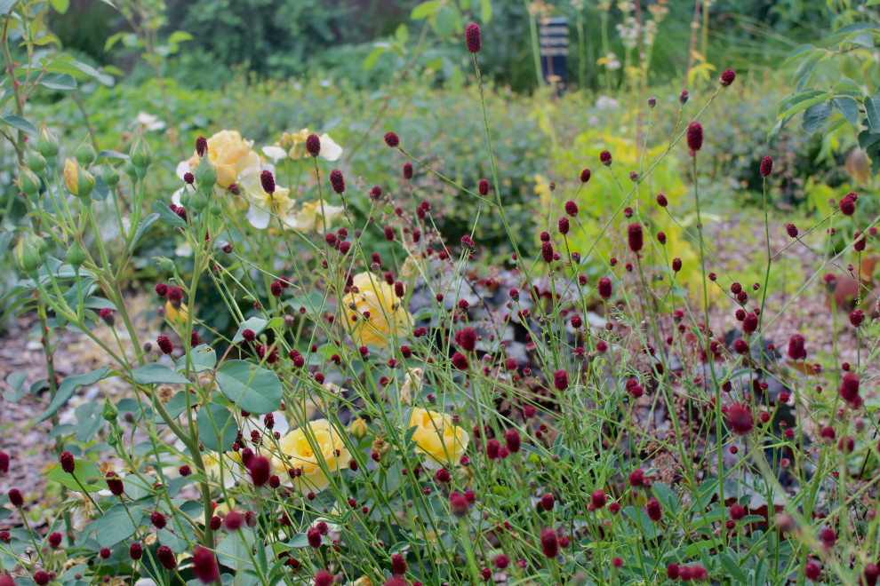 КП Тихие Зори