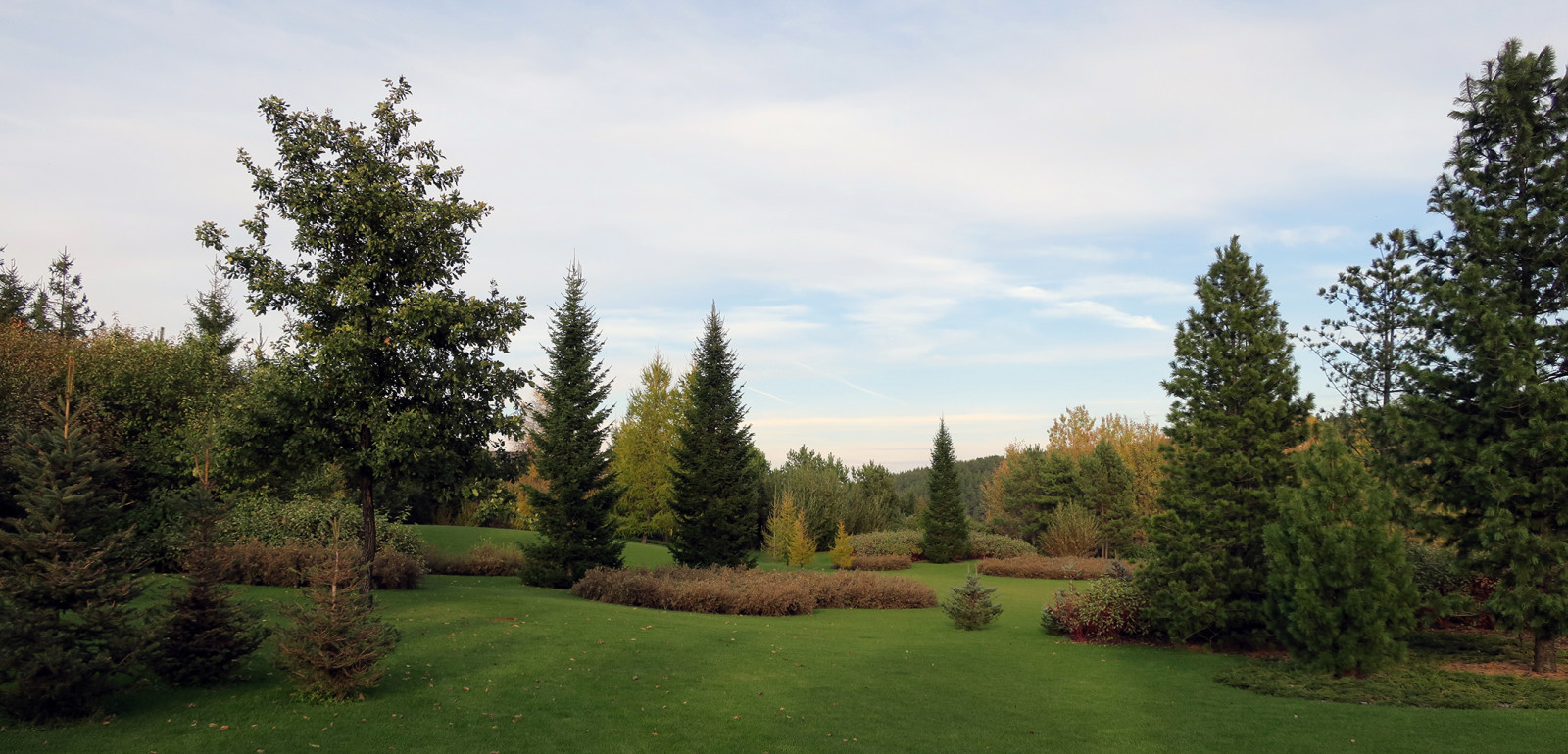 Новый пейзаж