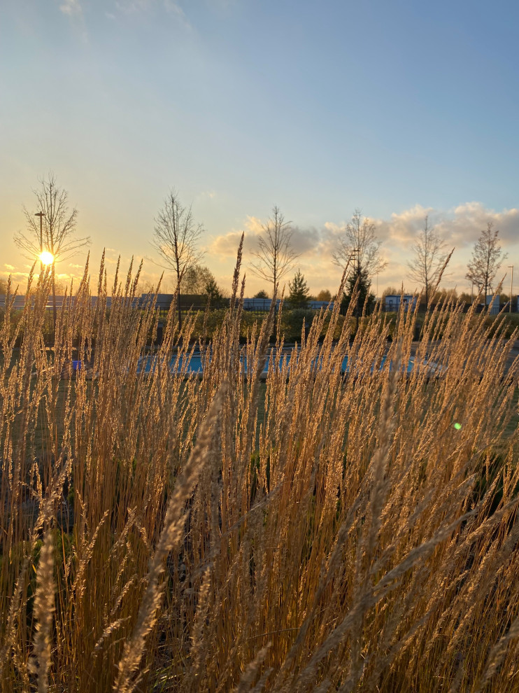 Обложка проекта: Коттеджный поселок "Высокий берег"