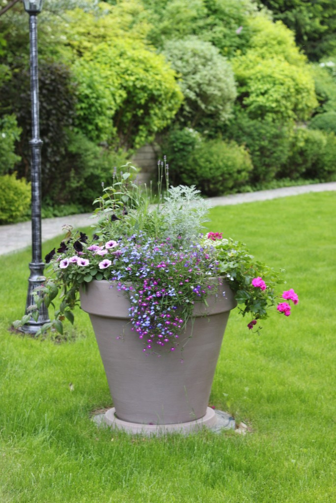 Проект недели: Кадочное озеленение в подмосковных Раздорах