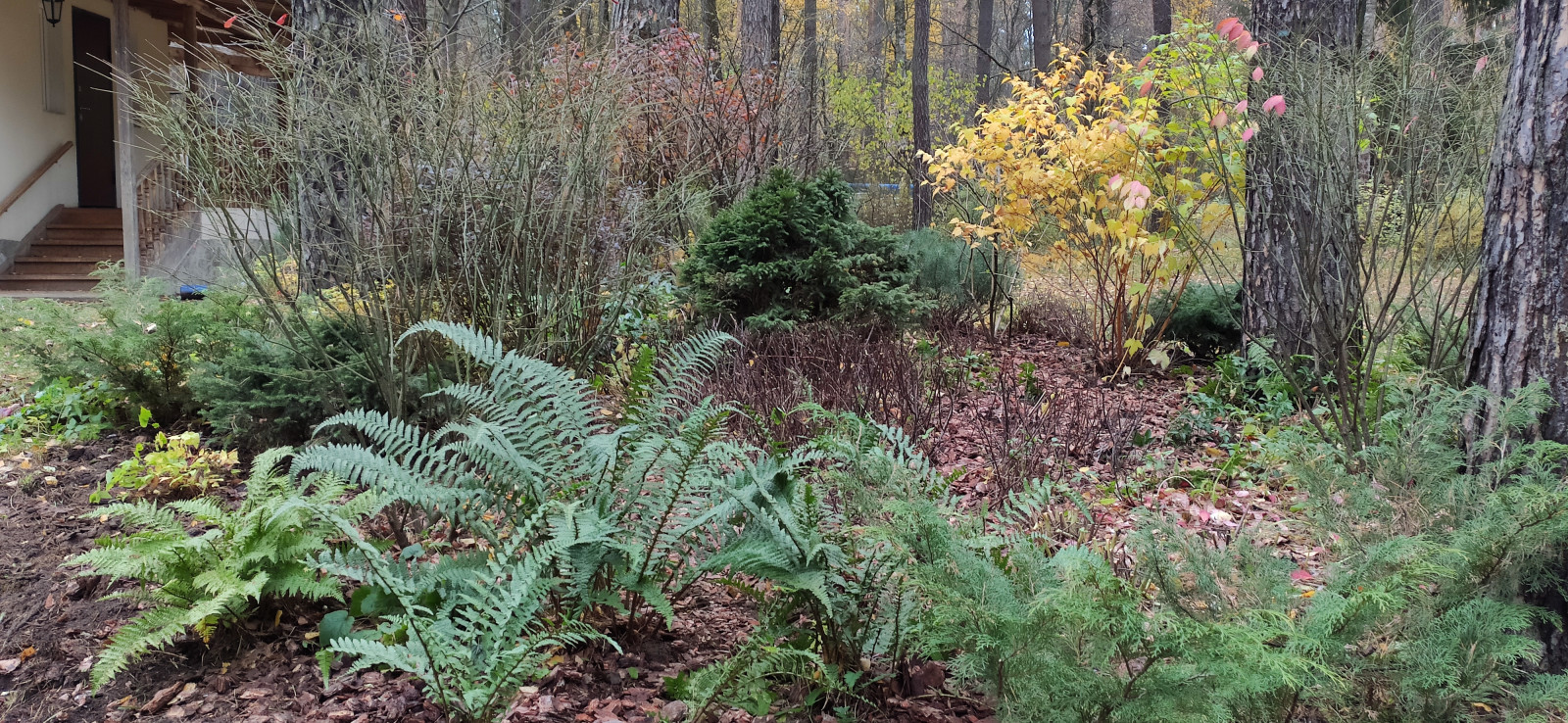 "Дача в Кратово"
