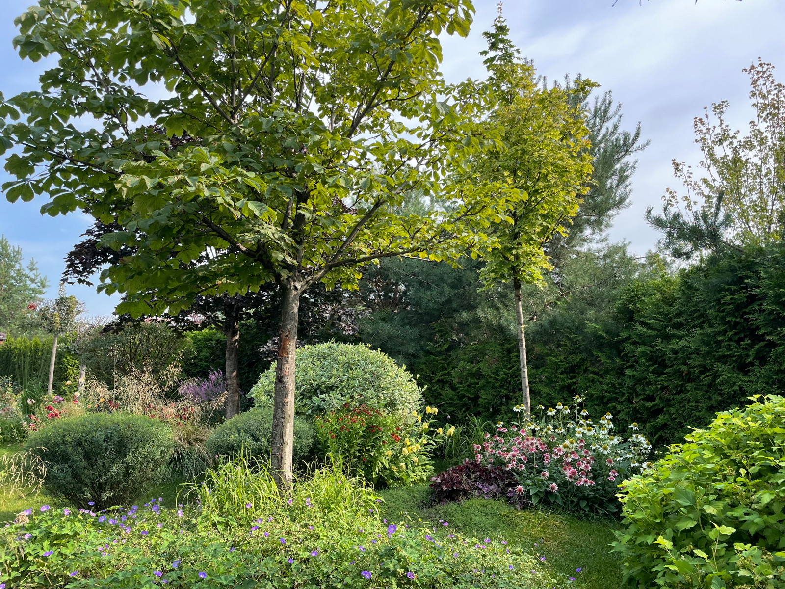 КП Пестово "Evergreen'