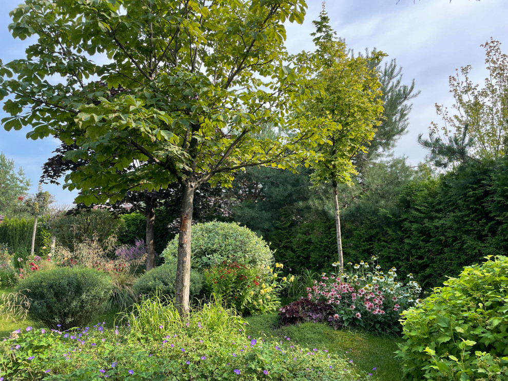 КП Пестово "Evergreen'