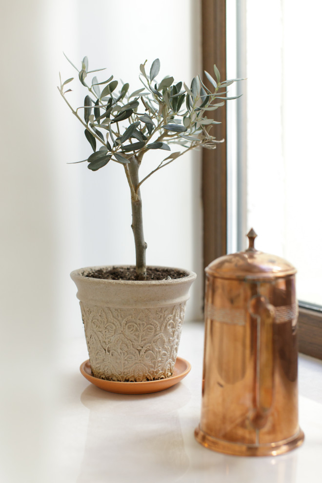 Маленькая квартира в стиле фьюжн в центре Санкт-Петербурга