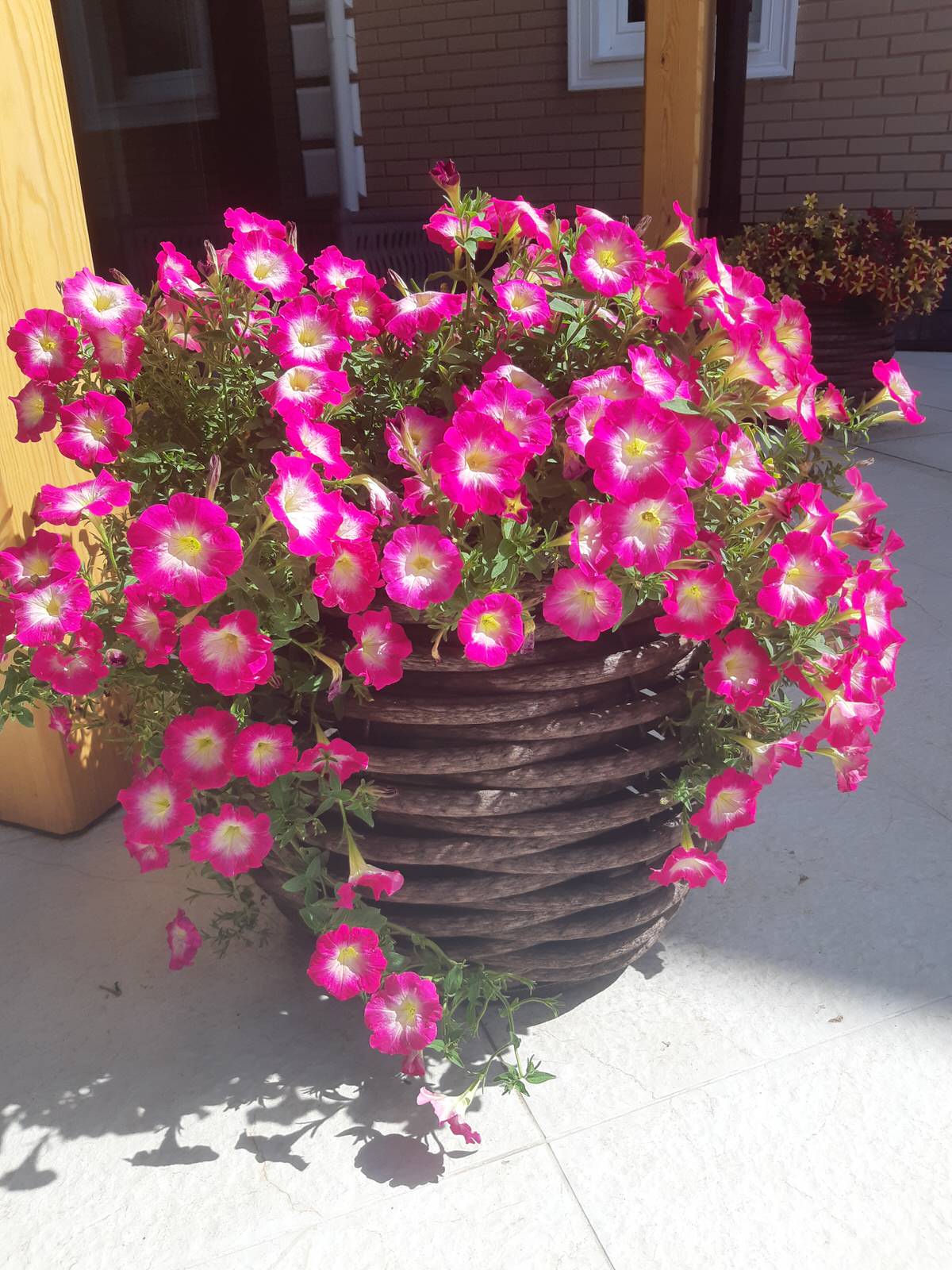 Серебрянный бор - 3