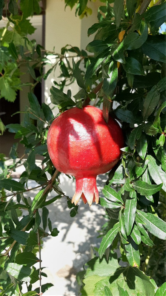 Ландшафтный дизайн