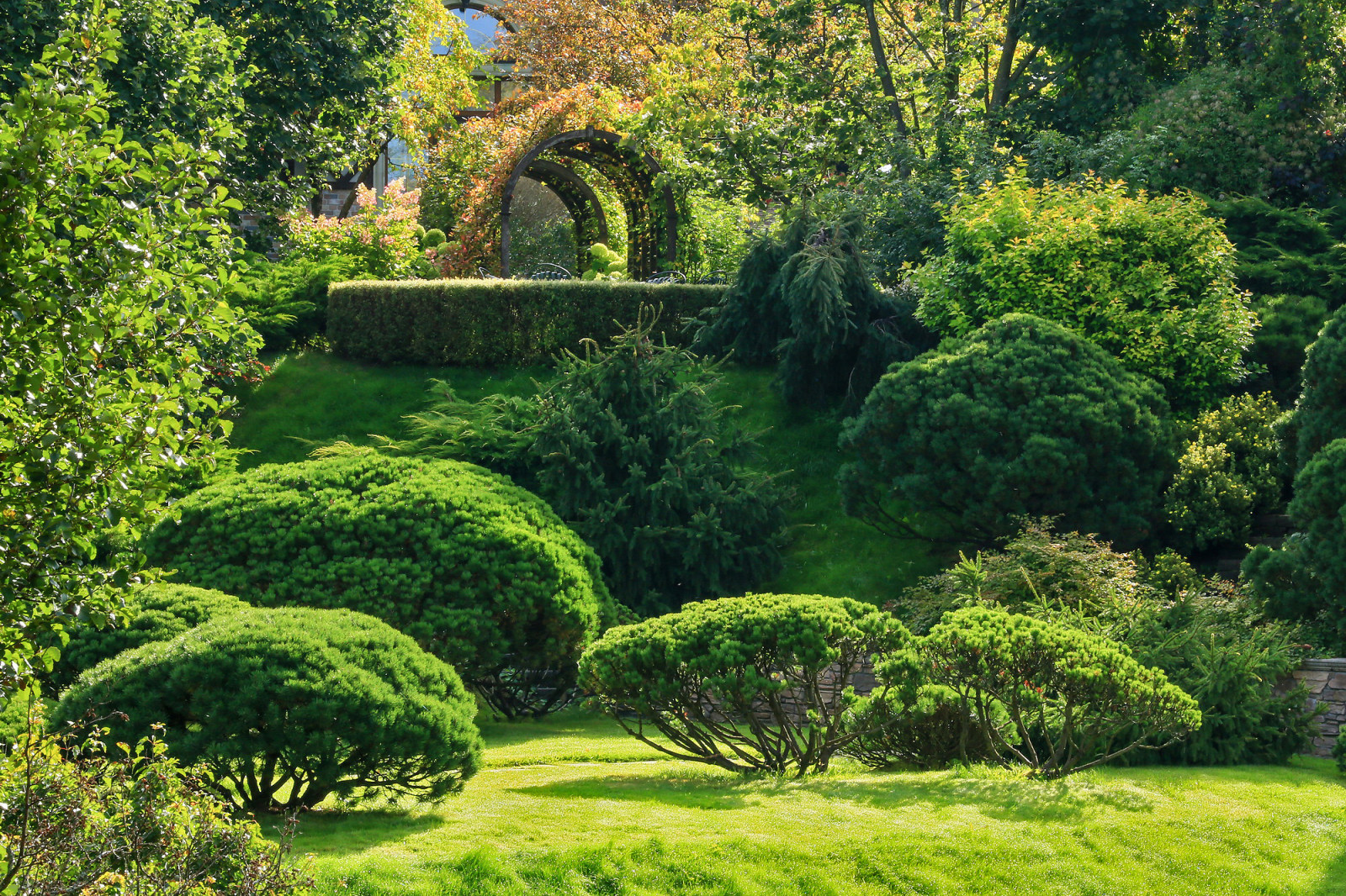 Усадьба Ореховно, Псковская область