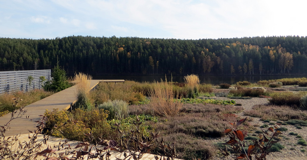 Полынный берег