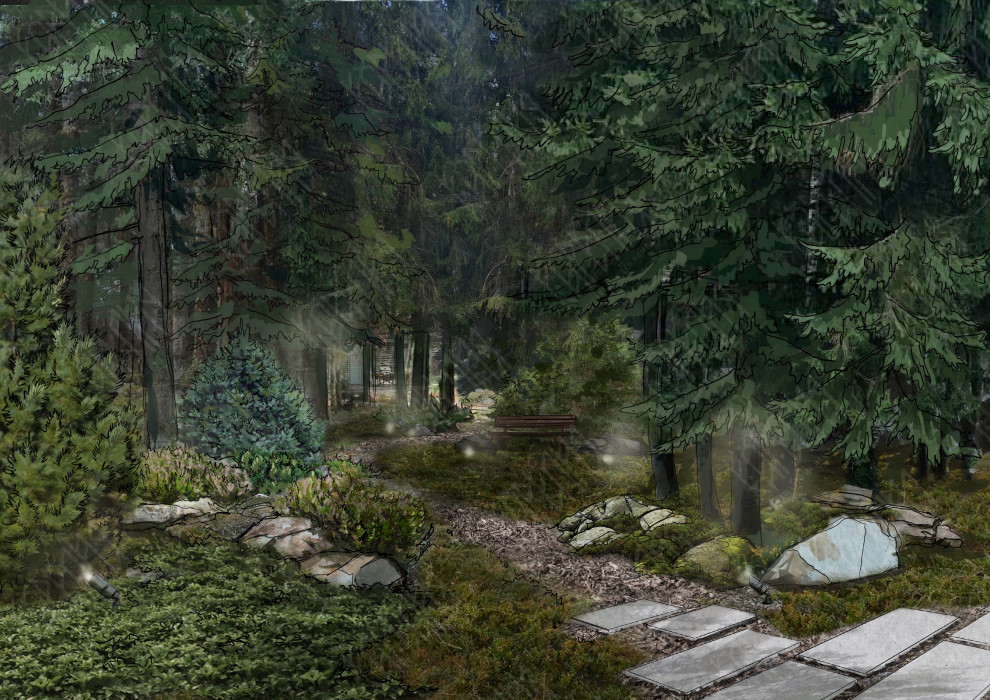 Лесная территория на участке