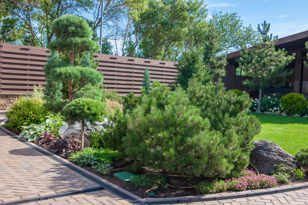 "Сосновая история"