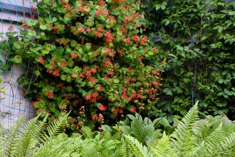 Лобаново, 2012-2021 гг.