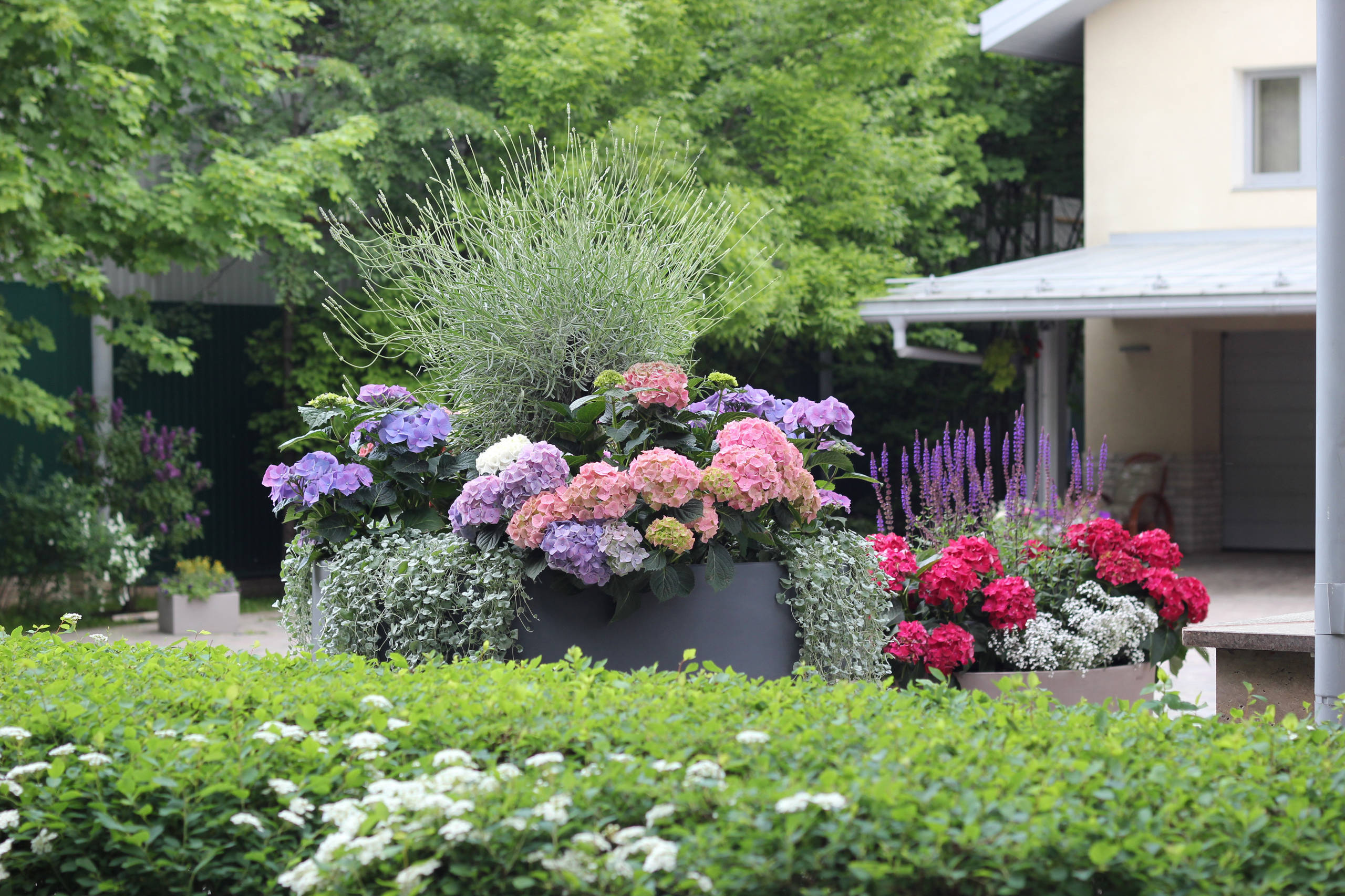 Как правильно: Сделать горшечный сад в середине лета