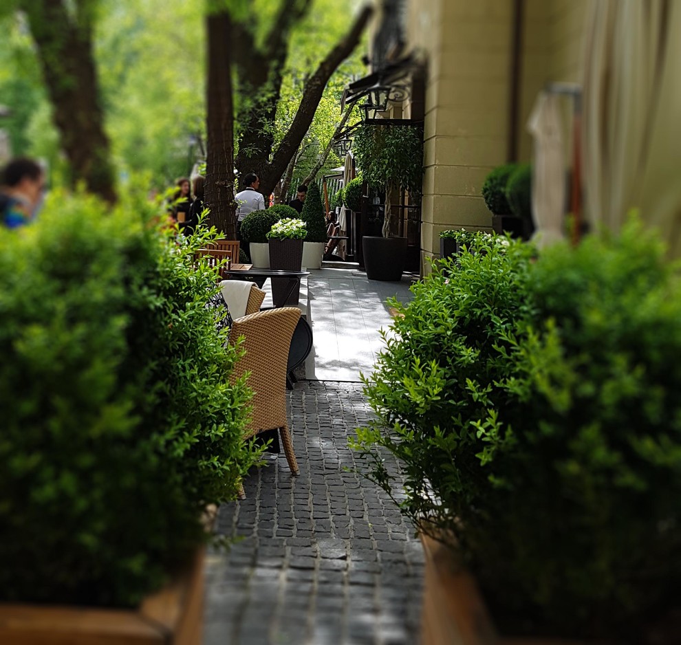 Обложка проекта: ресторан Аист на Малой Бронной