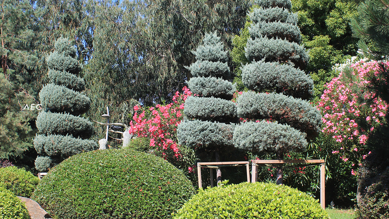 Парк аттракционов "Сочи парк"