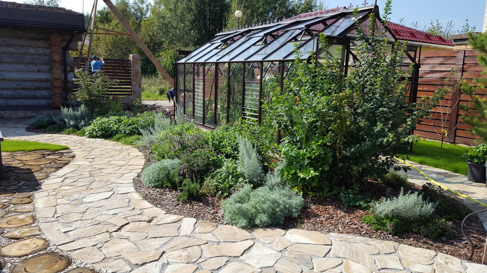 Прохорово лето 2017