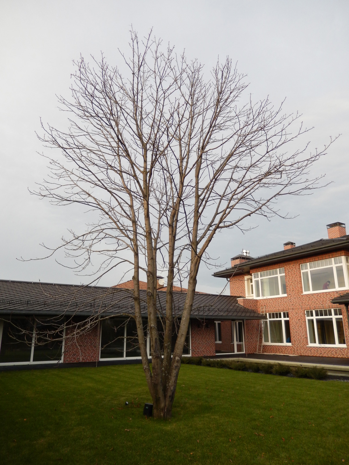 Променад. Киевское шоссе.