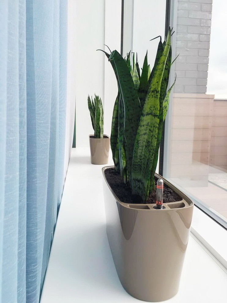 Озеленение частных квартир