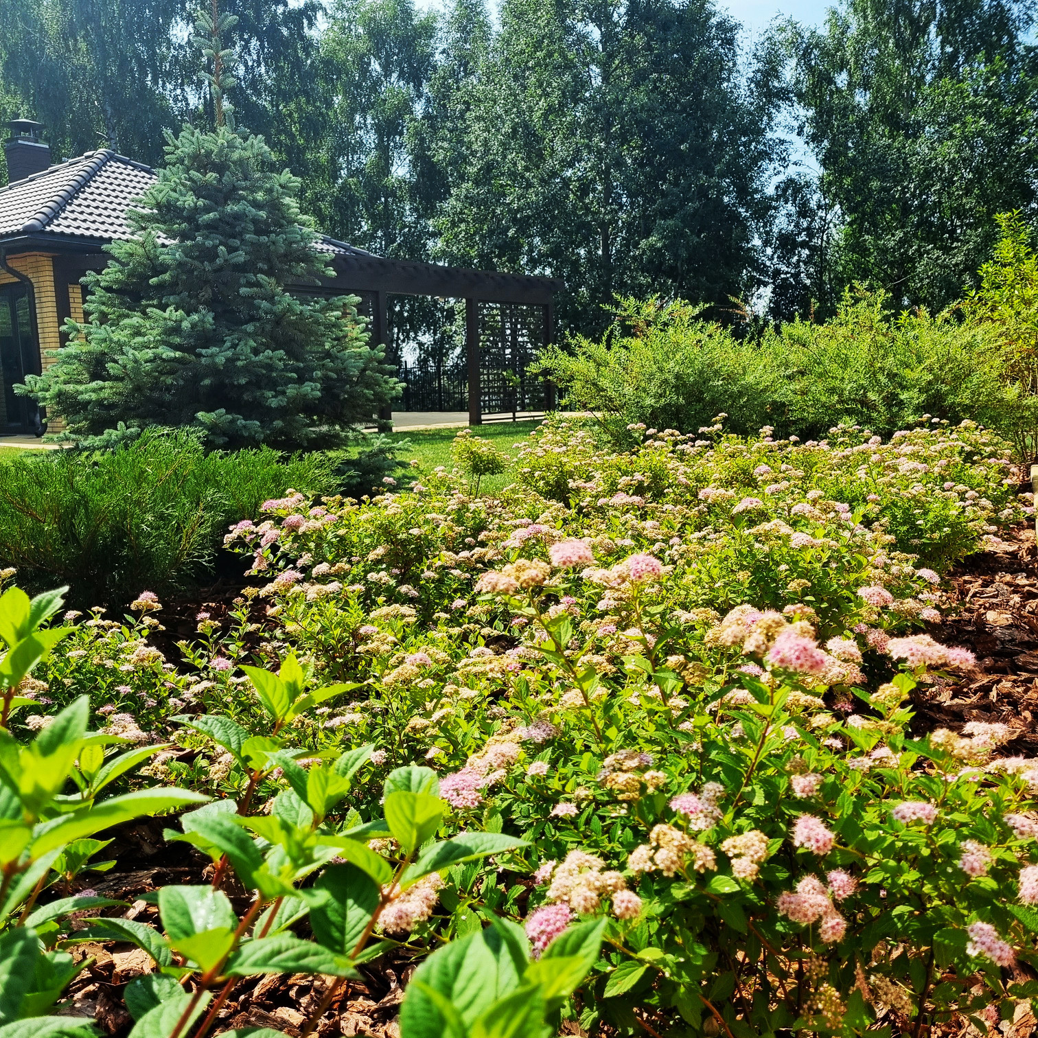 Кожино 2021/зима