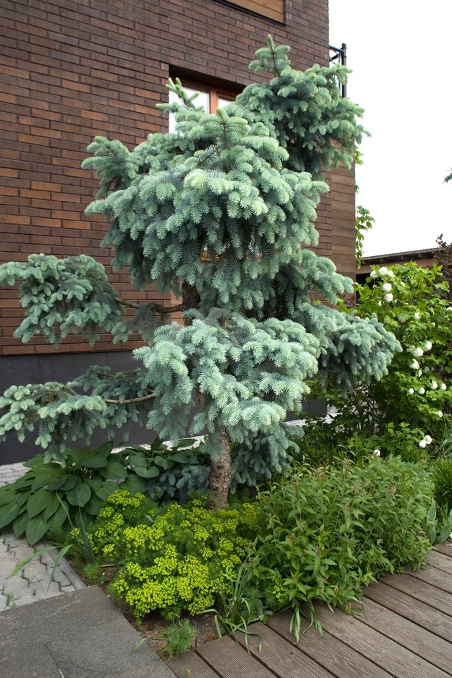 Миксбордеры и цветники. Наши работы прошлых лет.